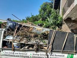 Best Electronics and E-Waste Disposal  in Baltic, SD